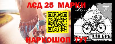 гидропоника Брянск