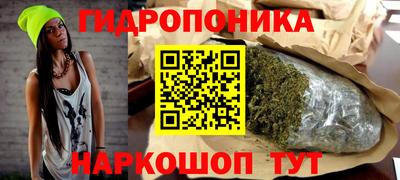 МДПВ Бердск