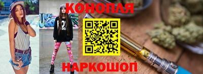МДПВ Бердск