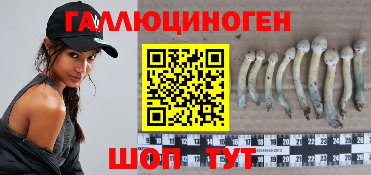 Новочеркасск  Галлюциногенные грибы Magic Shrooms  Вход с VPN 